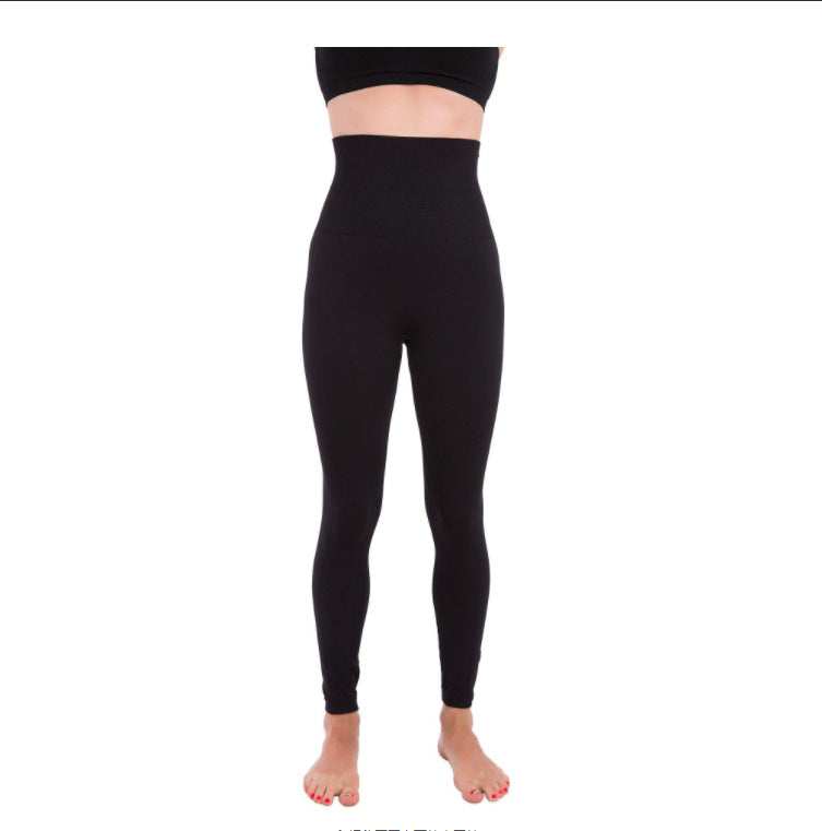 The Sculpt Legging — High Waist Seamless